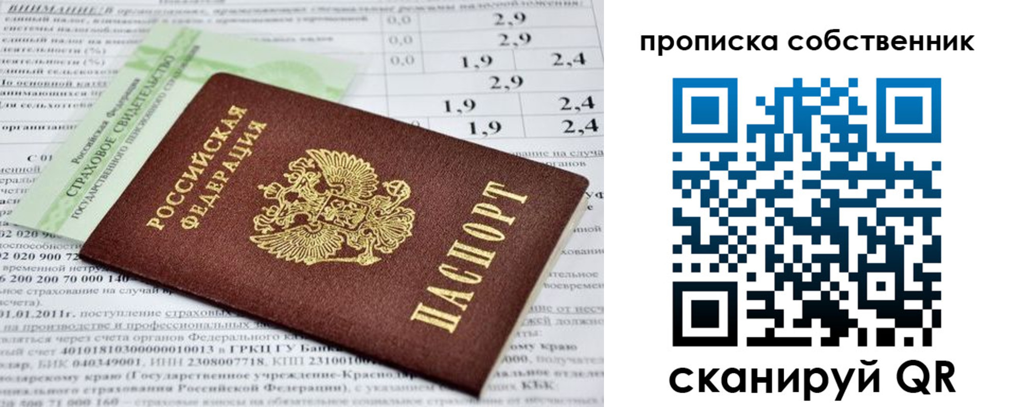 прописка 2025 в Могочи